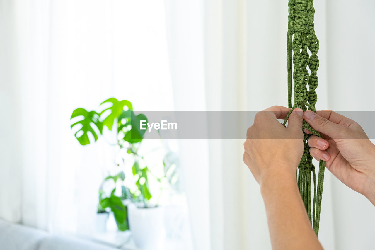 green, hand, indoors, one person, plant, adult, holding, nature, leaf, plant part, home interior, floristry, growth, lifestyles, flower, houseplant, domestic life, branch, day, potted plant, window, domestic room, men, women