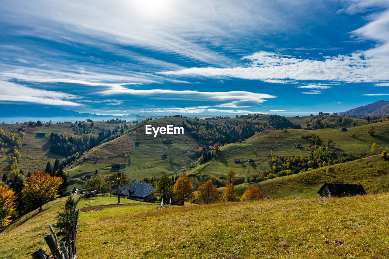 SCENIC VIEW OF RURAL LANDSCAPE