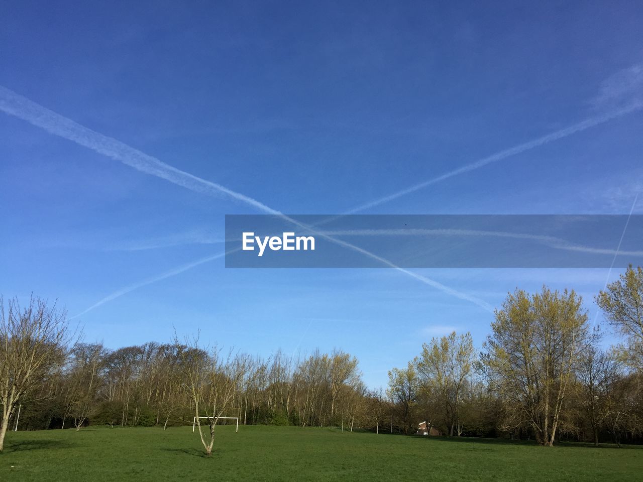 Trees on landscape against sky