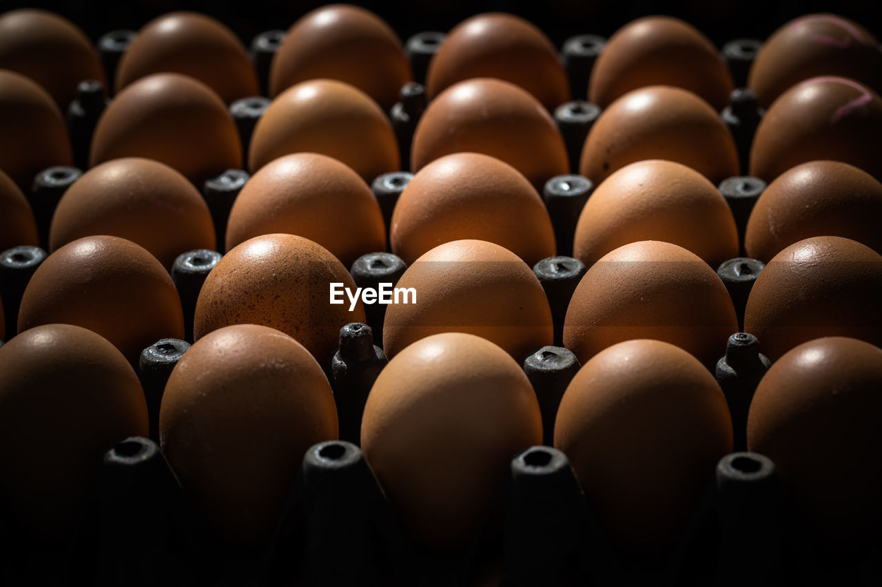 Full frame shot of eggs