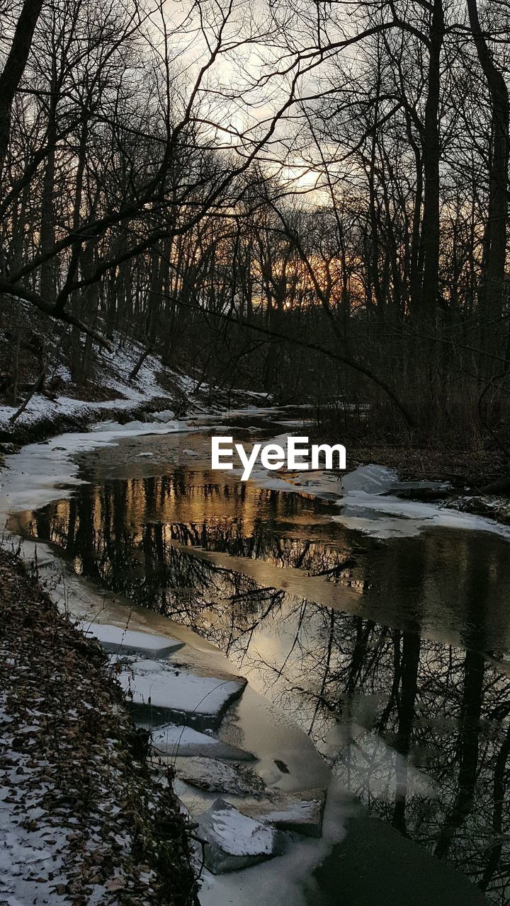 CLOSE-UP OF WET TREE BY LAKE DURING SUNSET