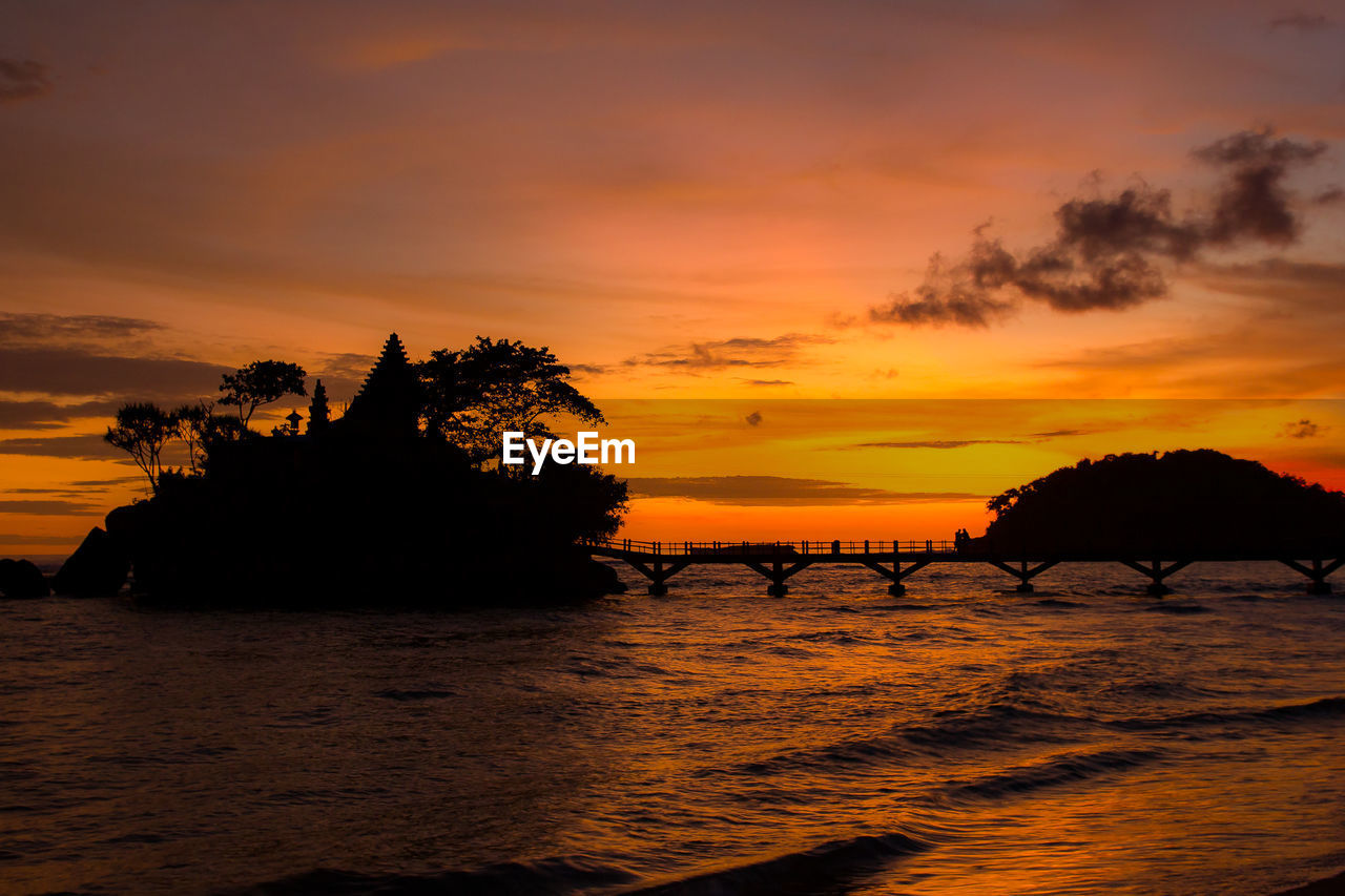 Silhouette of trees during sunset