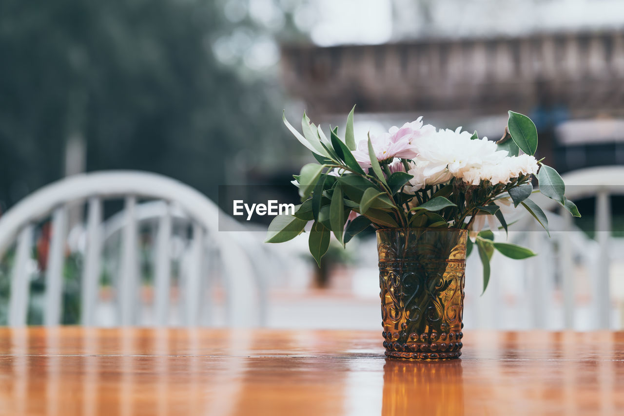 Close-up of white flowering plant in vase on table