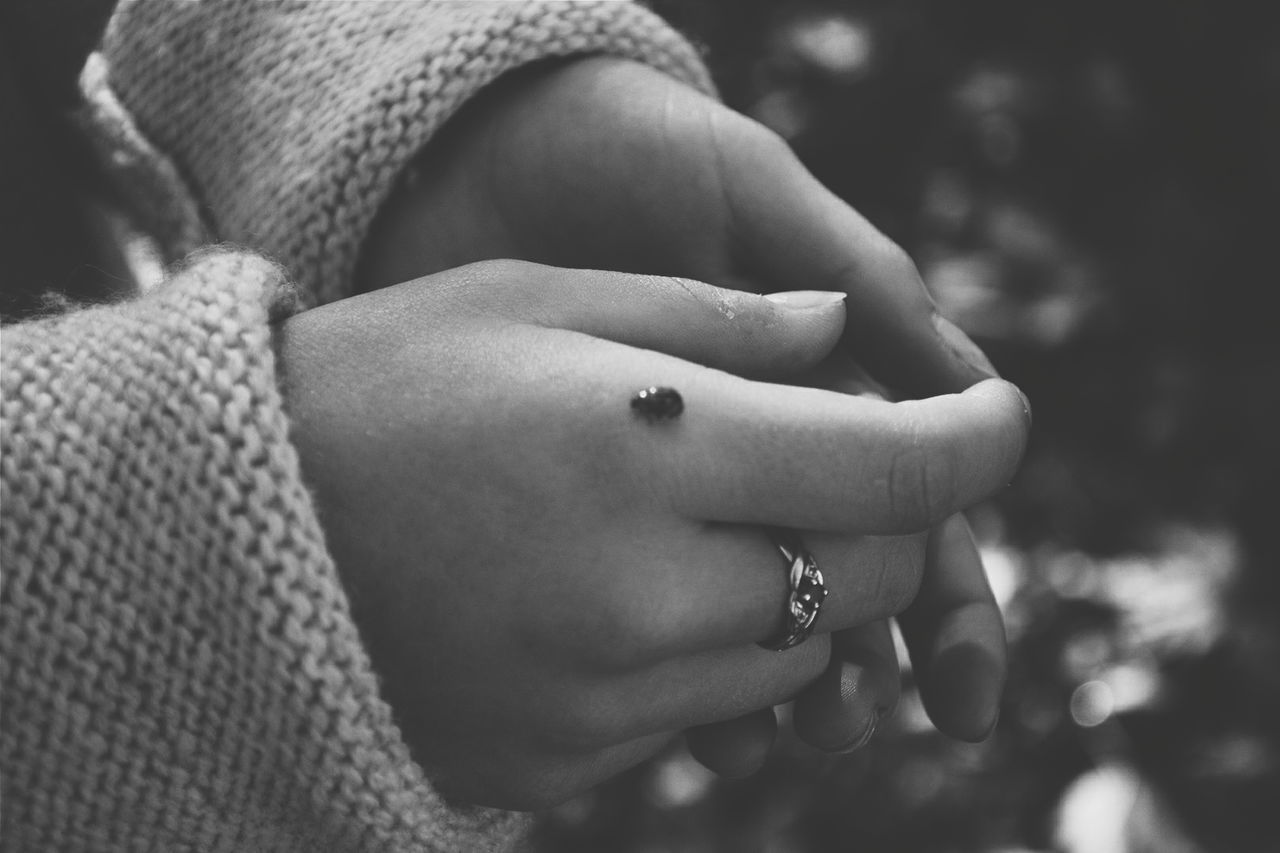 Cropped hand of woman with insect