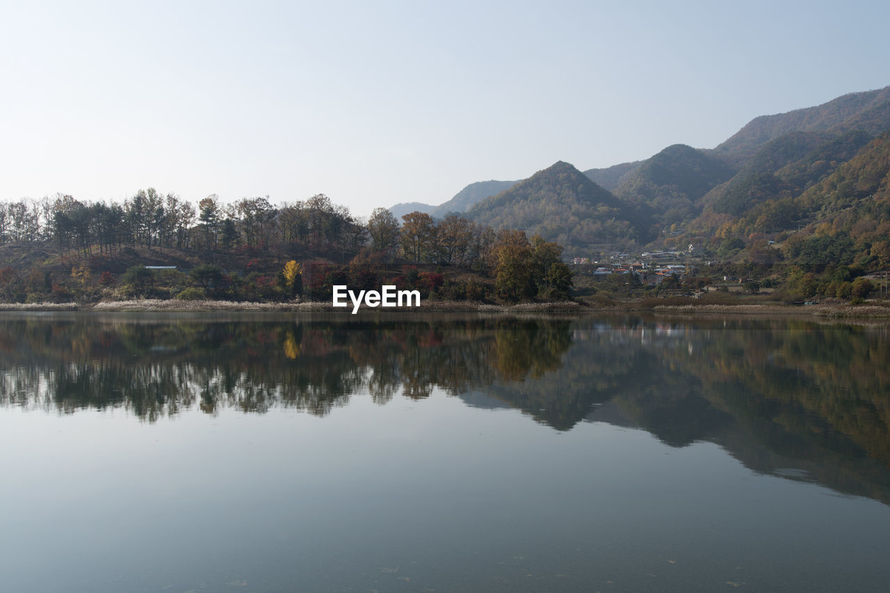 Scenic view of lake by forest against clear sky