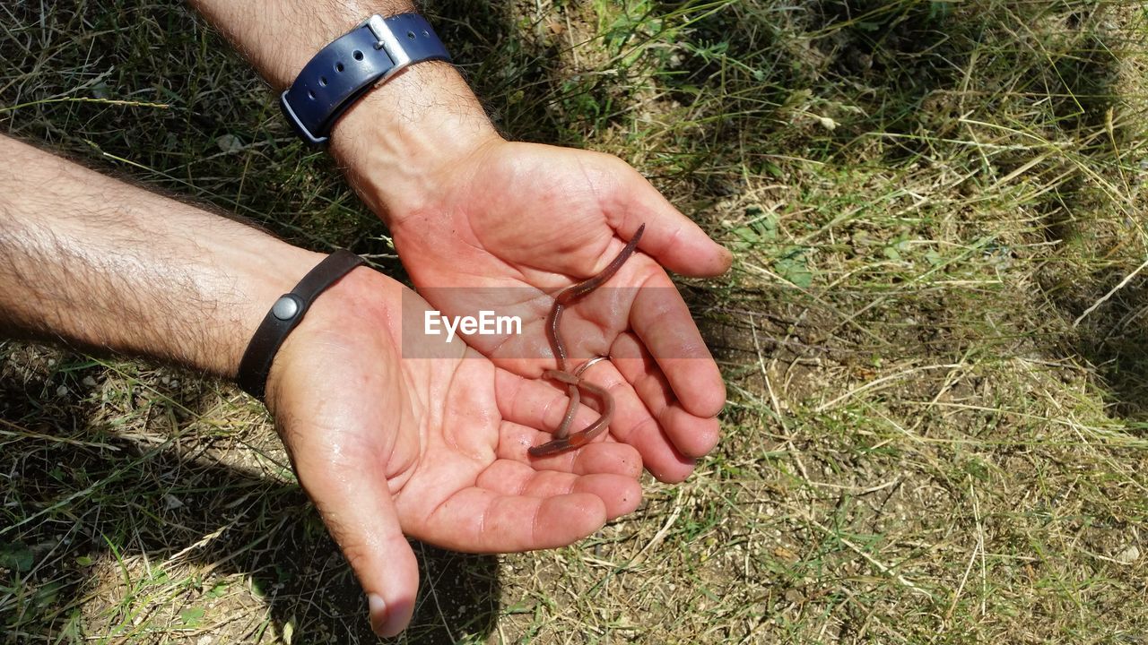 High angle view of cropped hand holding earthworms outdoors