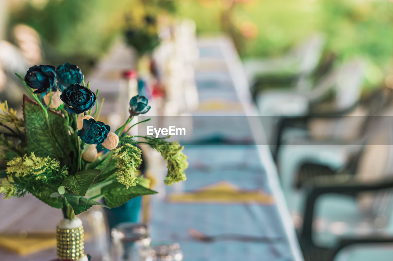 Close-up of potted plant on table