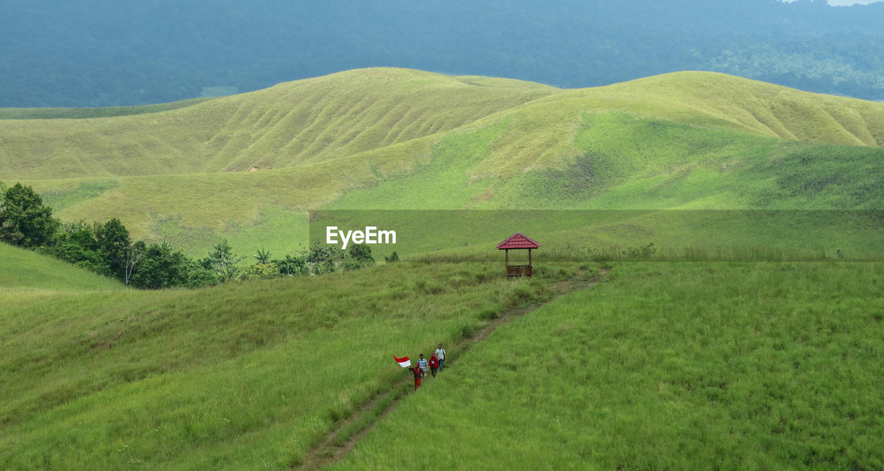 SCENIC VIEW OF GREEN LANDSCAPE