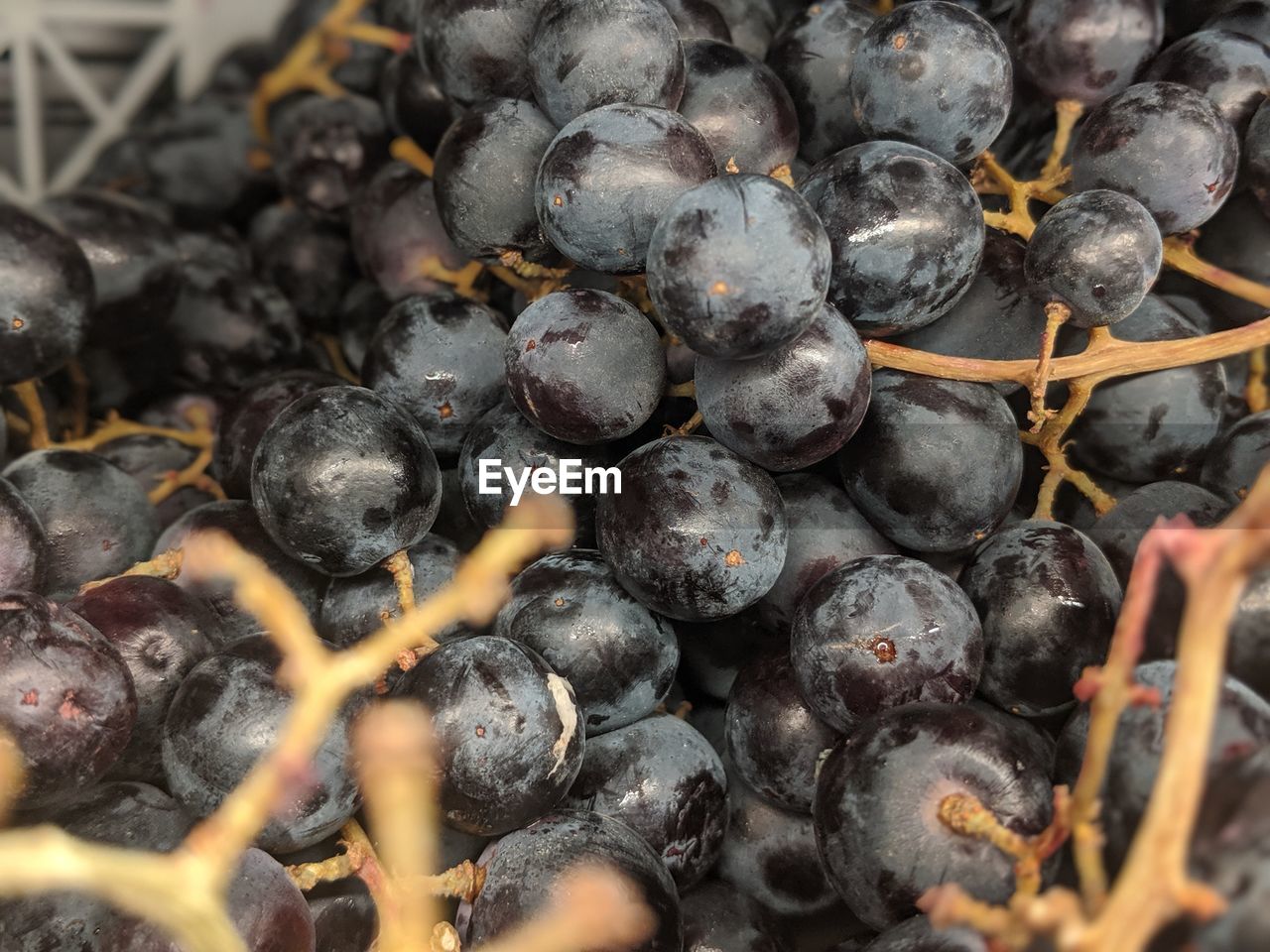 FULL FRAME SHOT OF BLACK BERRIES