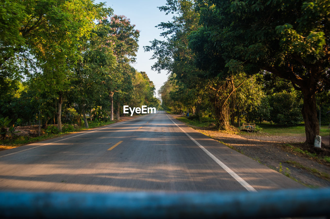 SURFACE LEVEL OF ROAD ALONG TREES