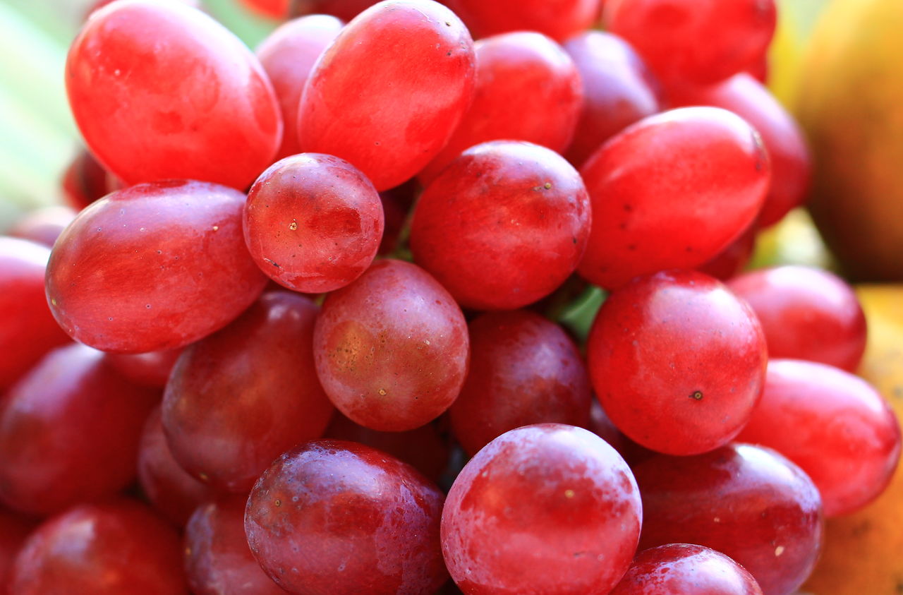 Fruits for offering sacred things
close-up of grapes