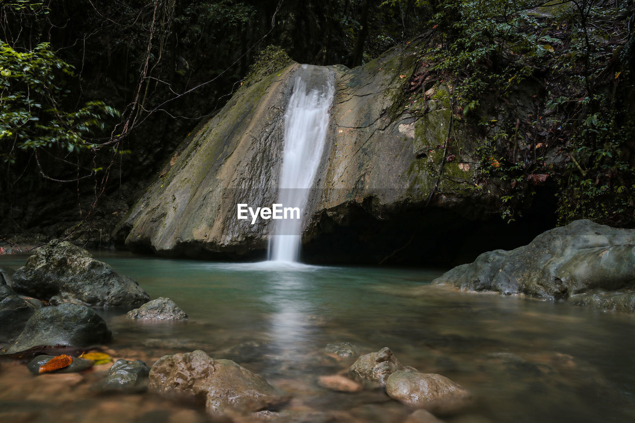 WATERFALL IN FOREST