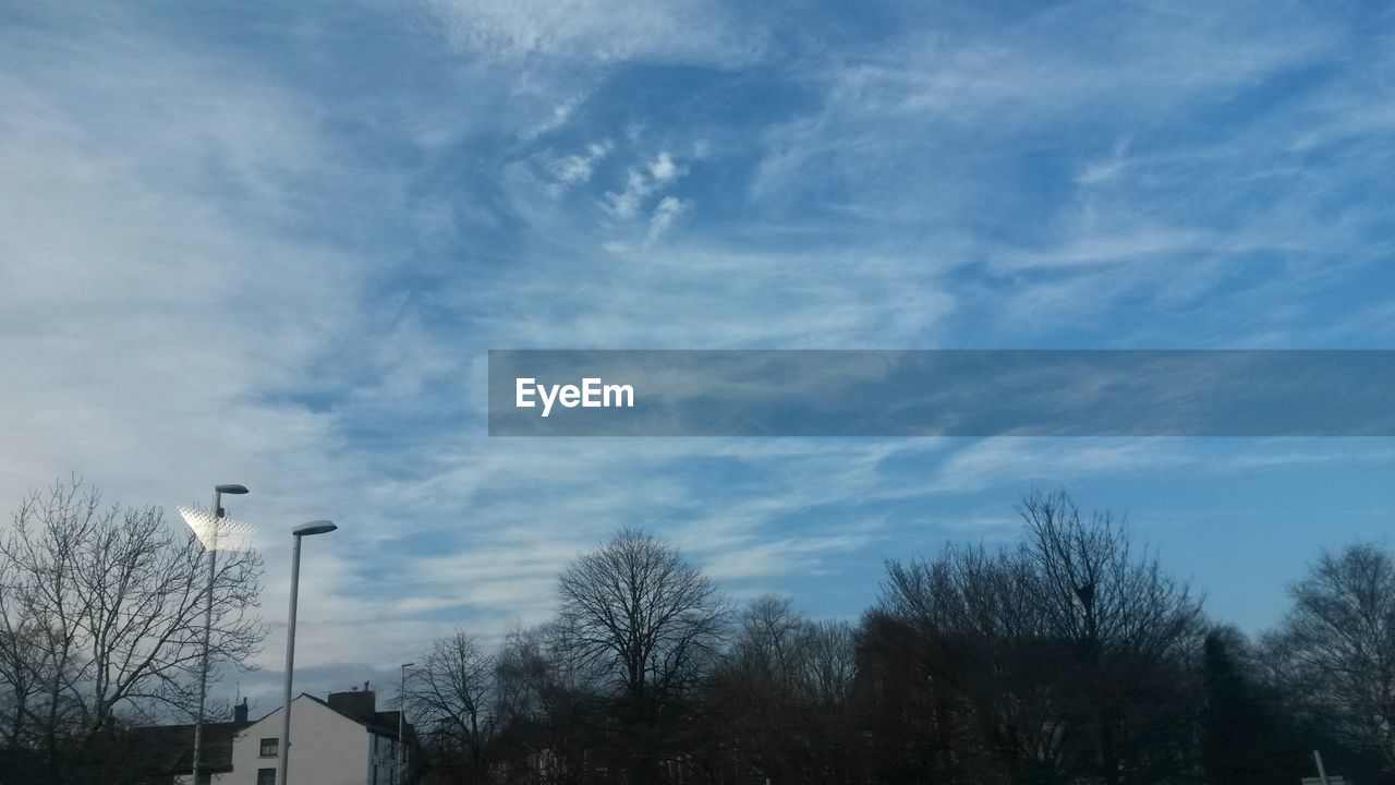 LOW ANGLE VIEW OF TREES AGAINST CLOUDY SKY