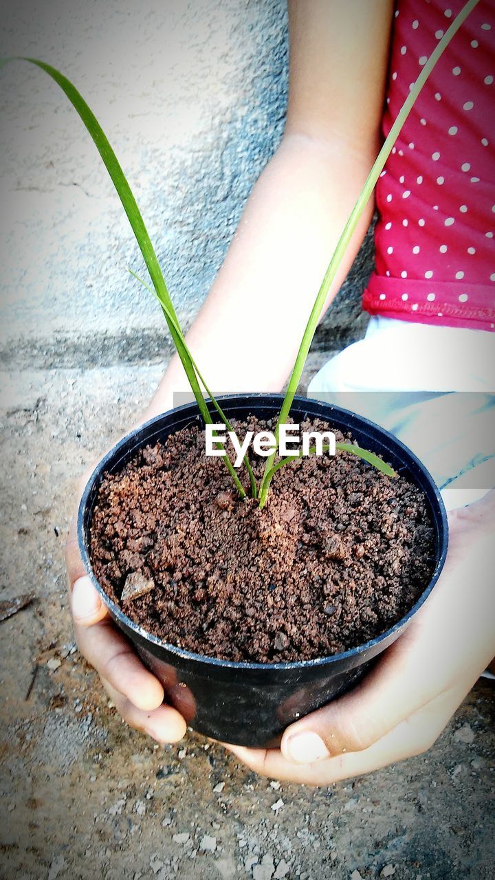 Midsection of woman holding potted plant