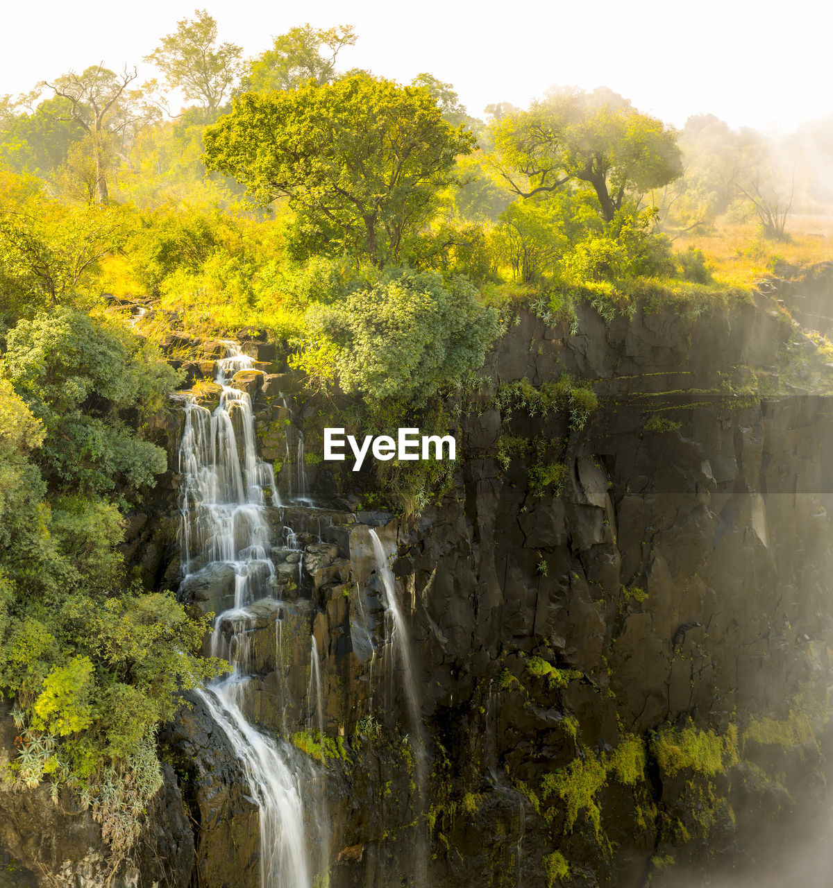 SCENIC VIEW OF WATERFALL AGAINST ROCKS IN FOREST