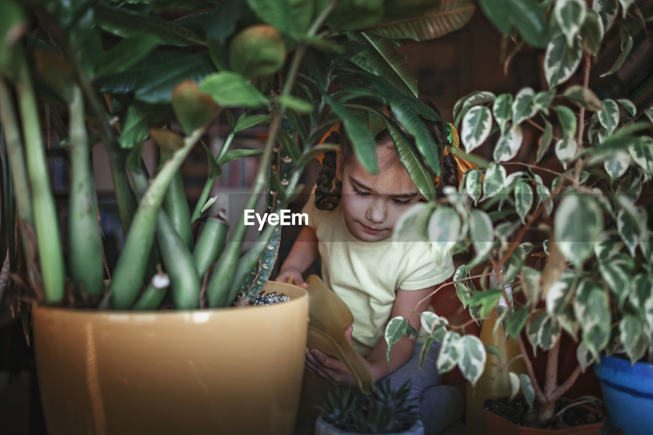 YOUNG WOMAN LOOKING DOWN WHILE SITTING ON POTTED PLANT