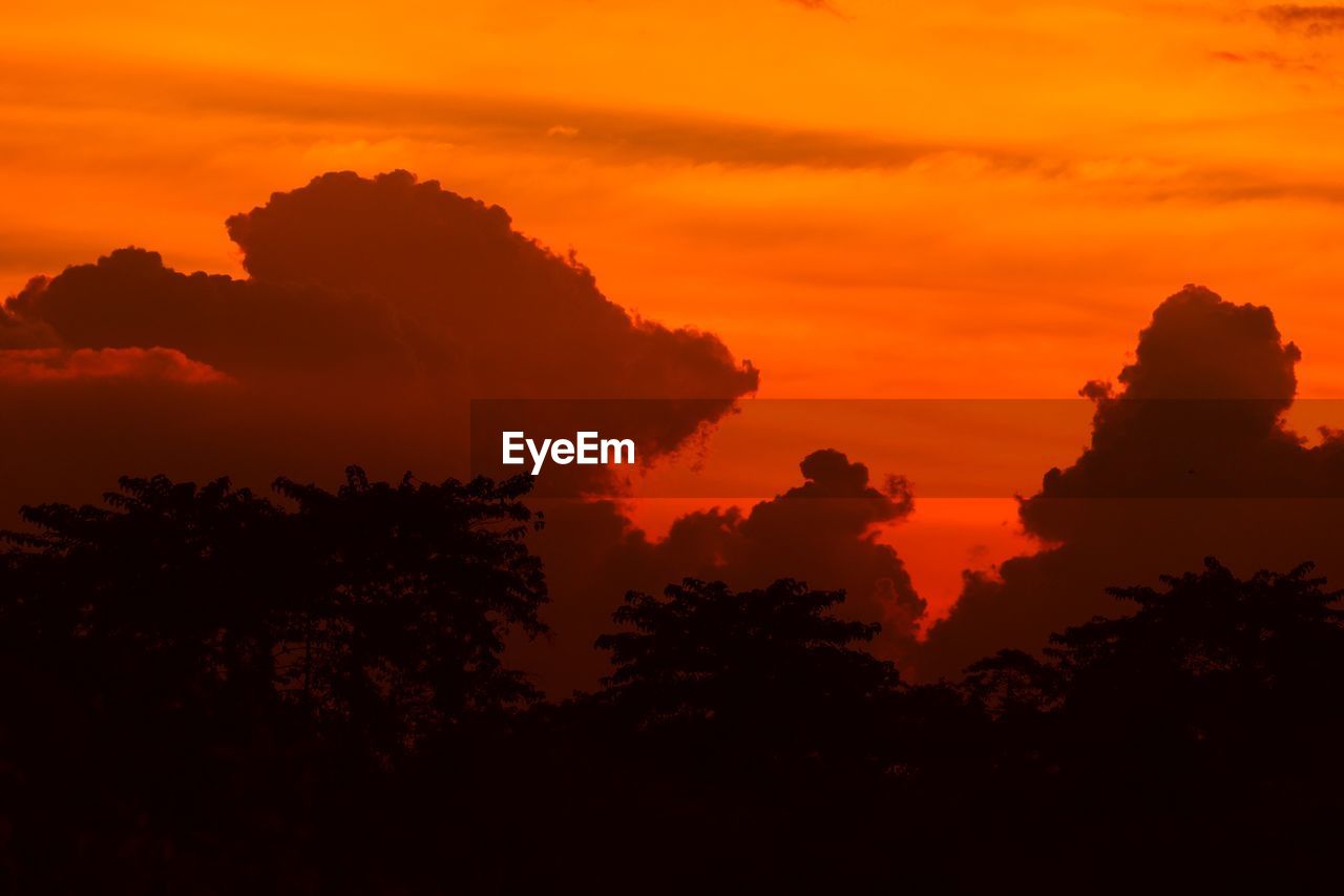 LOW ANGLE VIEW OF SILHOUETTE TREES AGAINST SKY DURING SUNSET