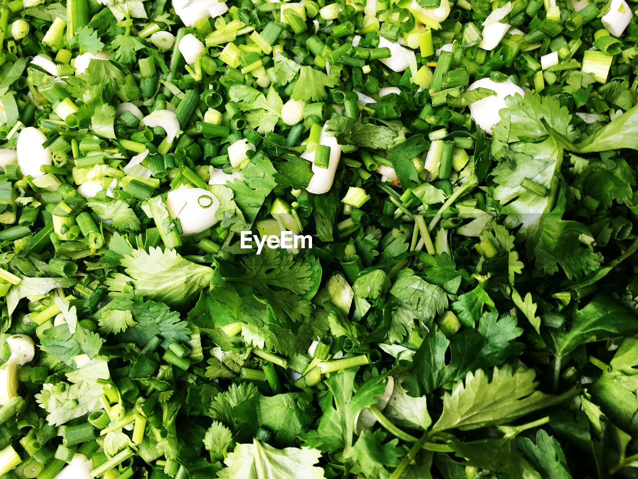 Coriander and spring onion sliced ingredient for cooking food.