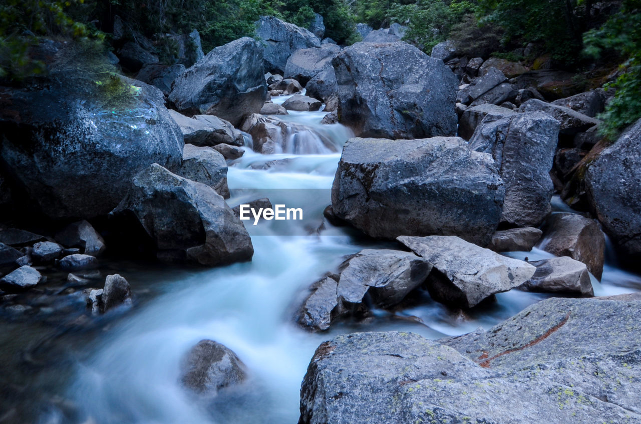 Water flowing through rocks in forest