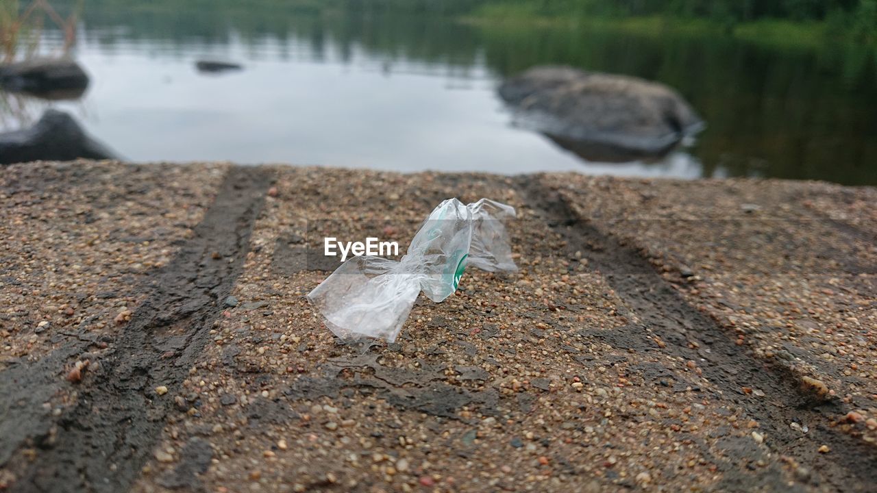 Close-up of littering on rock by lake
