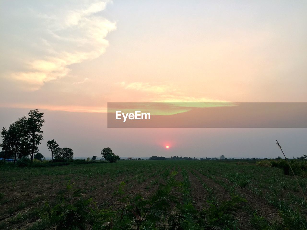 Scenic view of field against sky during sunset