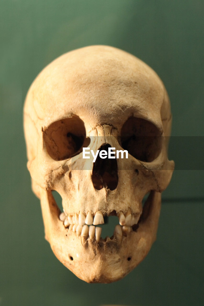 Close-up of human skull against green background