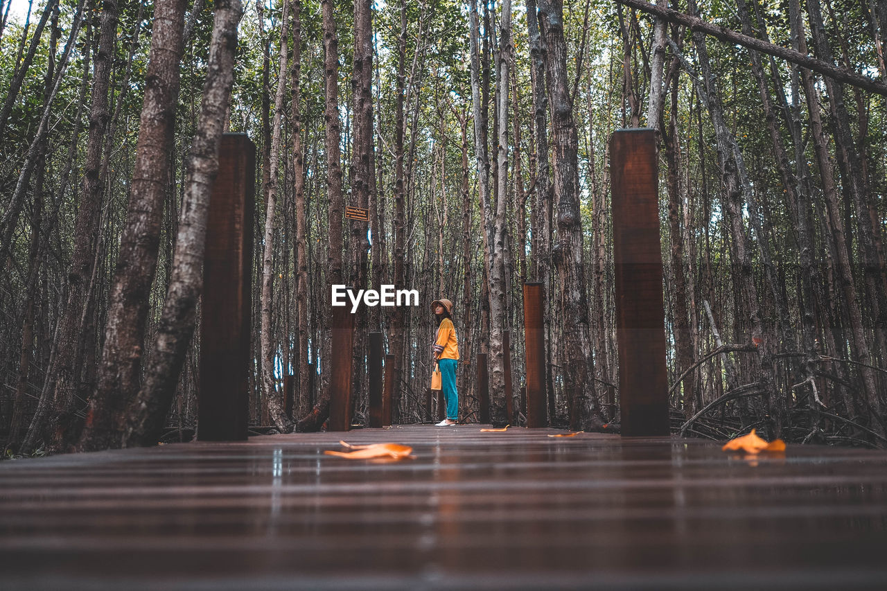 Surface level shot of woman standing on boardwalk in forest