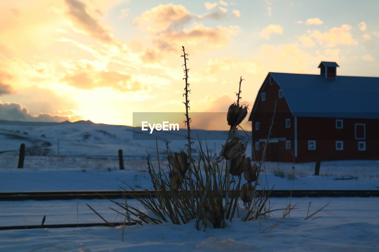 Houses on snow covered field against sky