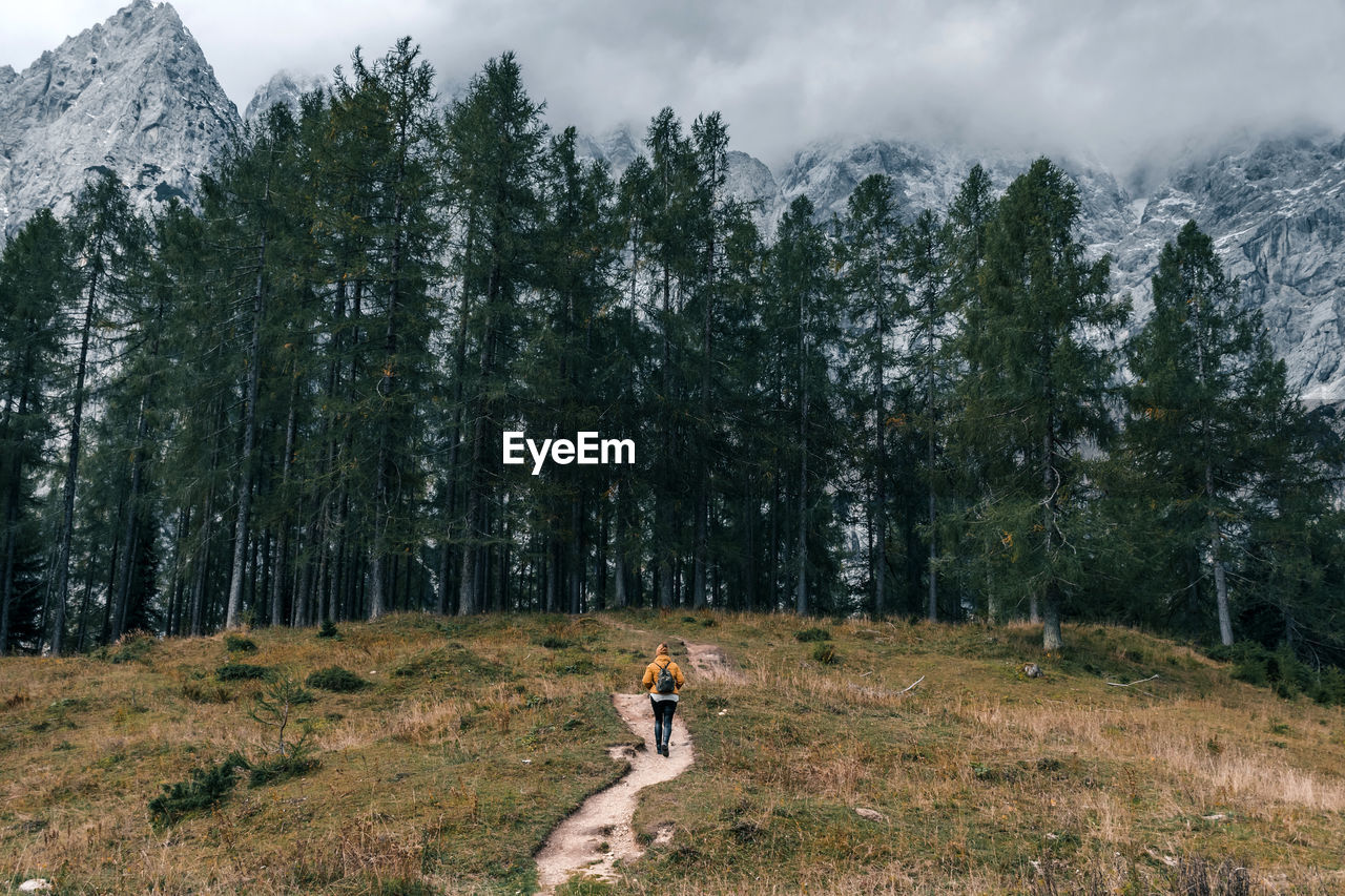 Female hiker on path leading to mysterious forest under misty mountains