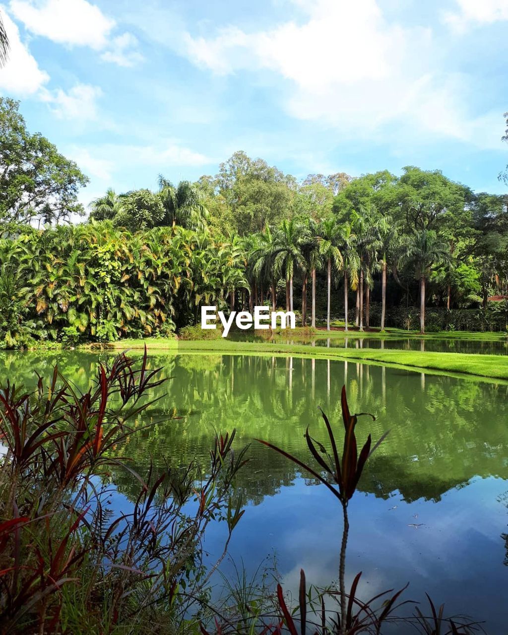 SCENIC VIEW OF LAKE AND TREES AGAINST SKY