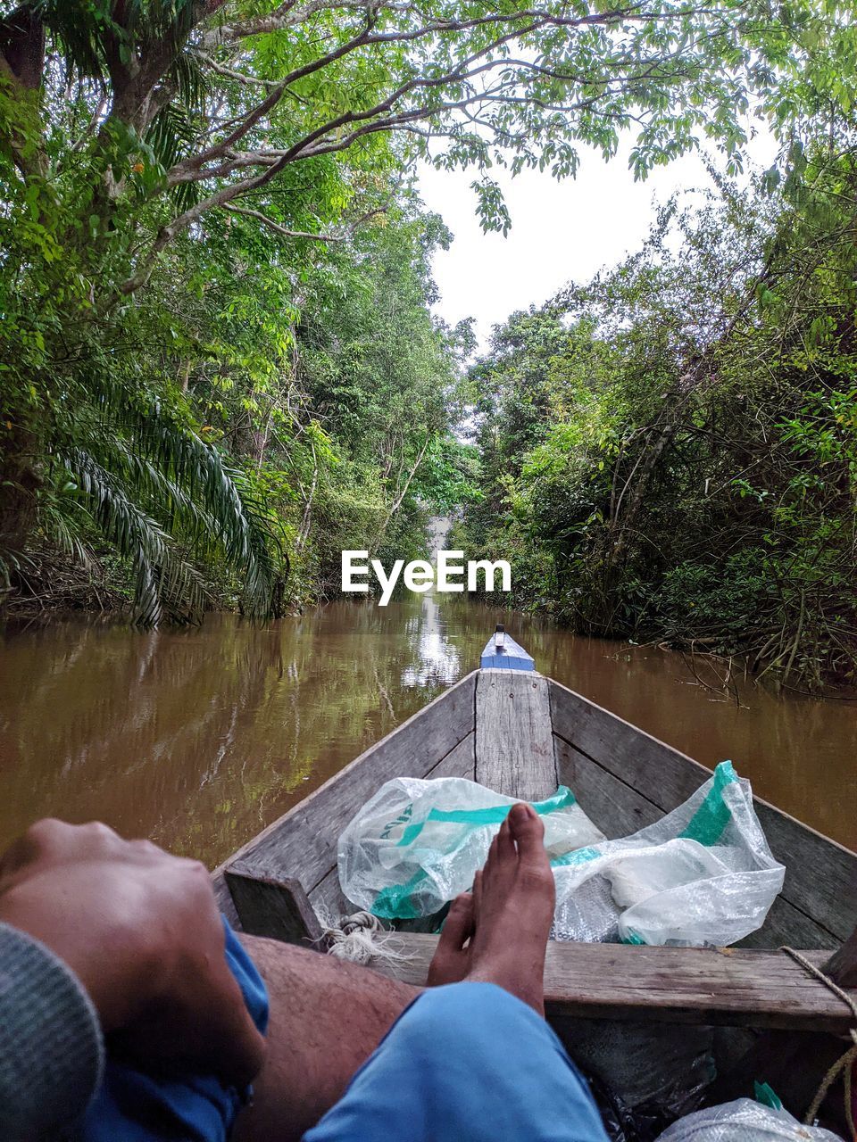 River in the middle of the forest in kalimantan, borneo land