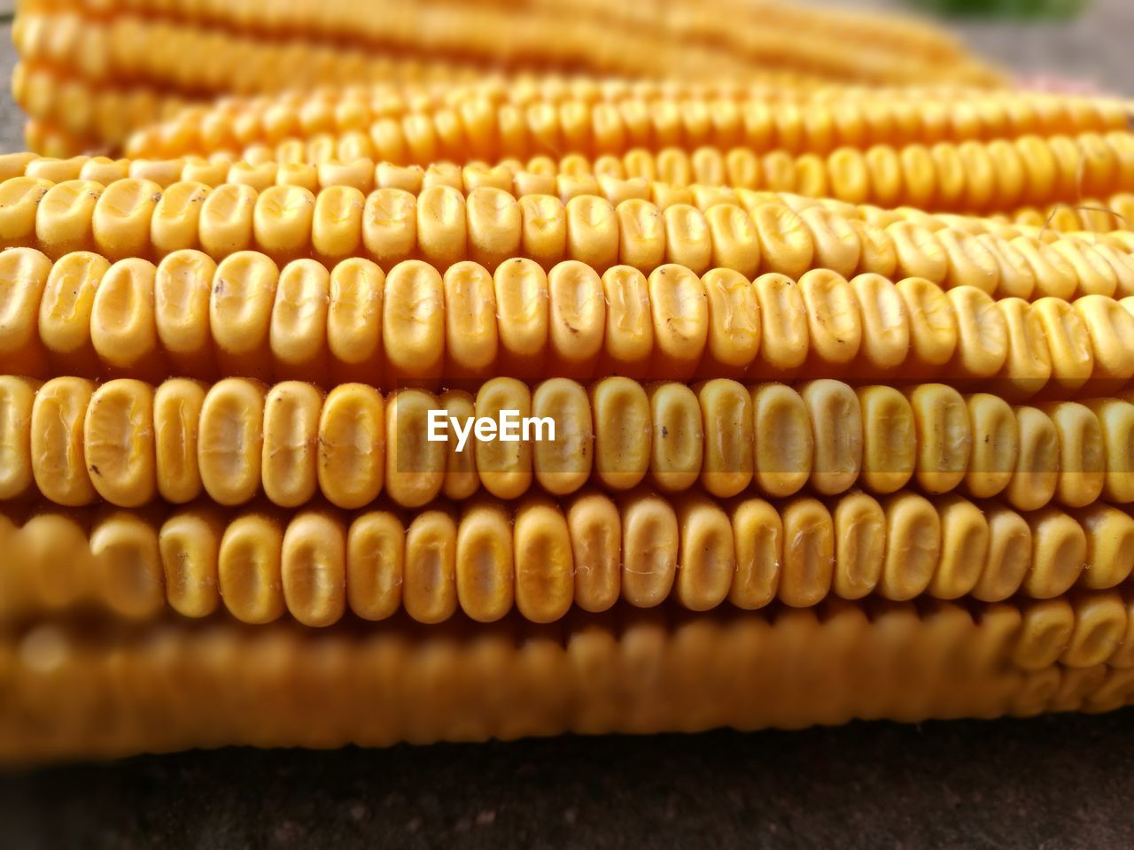 Close-up of sweet corn