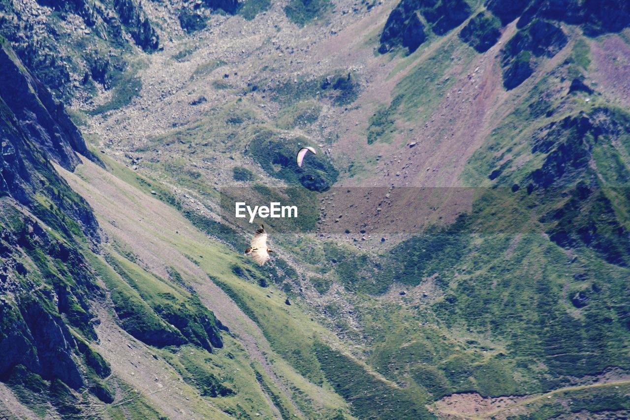 High angle view of vultures flying over mountains on sunny day