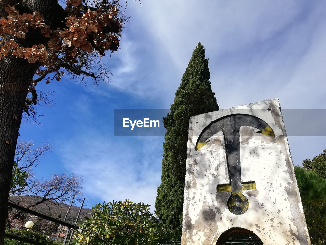 LOW ANGLE VIEW OF PLANTS AGAINST SKY