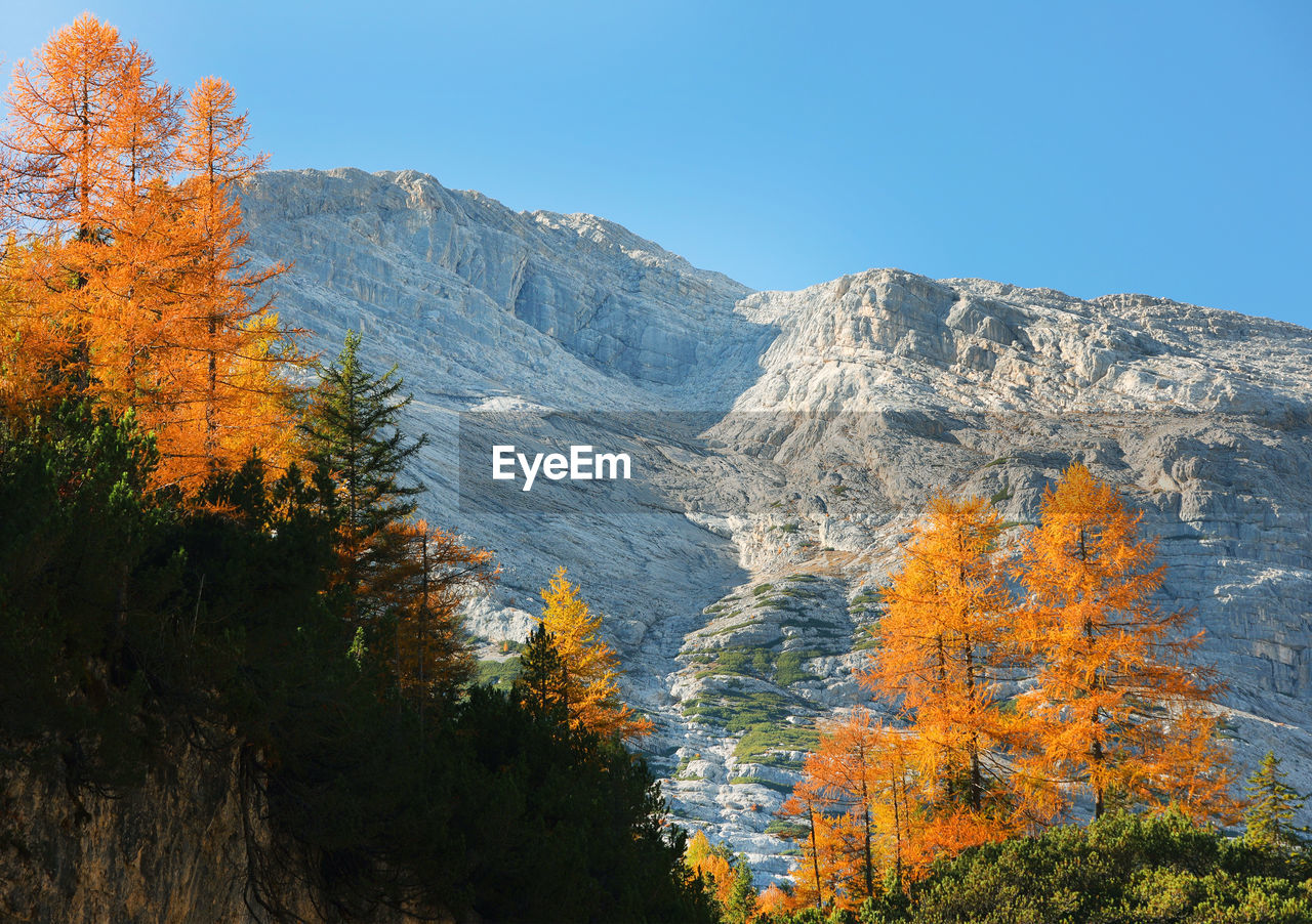 Scenic view of mountains against clear sky during autumn