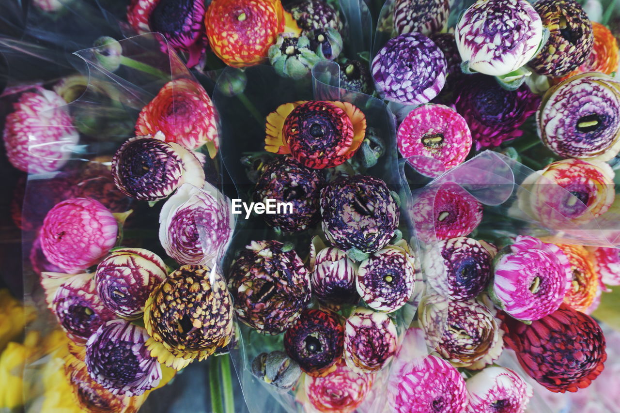 Full frame shot of multi colored flowers for sale in market