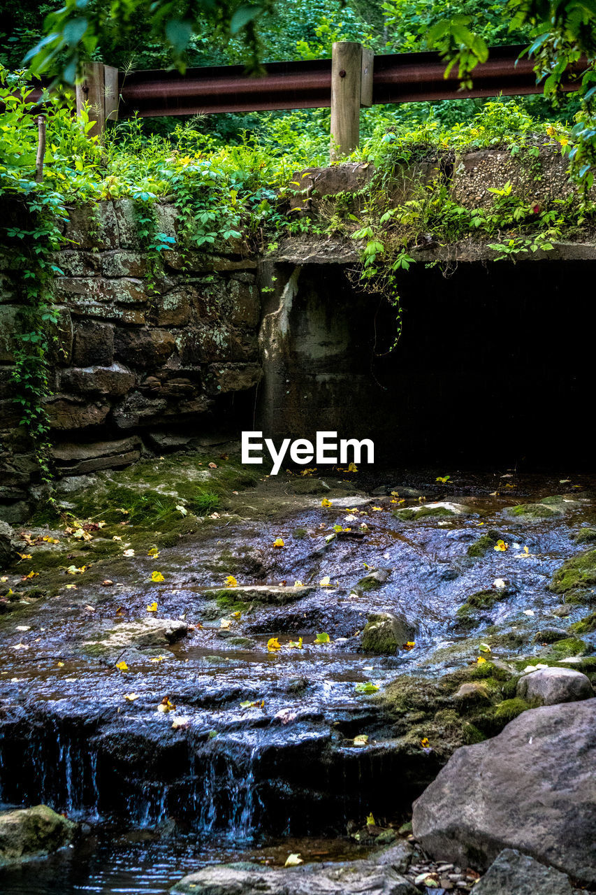 STREAM FLOWING THROUGH ROCKS IN FOREST