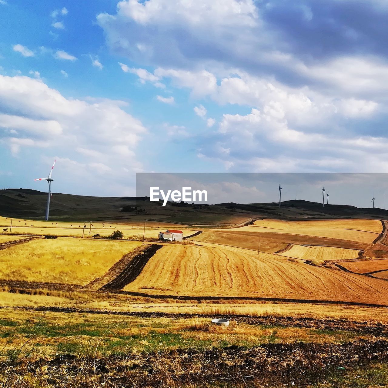 SCENIC VIEW OF AGRICULTURAL LANDSCAPE AGAINST SKY