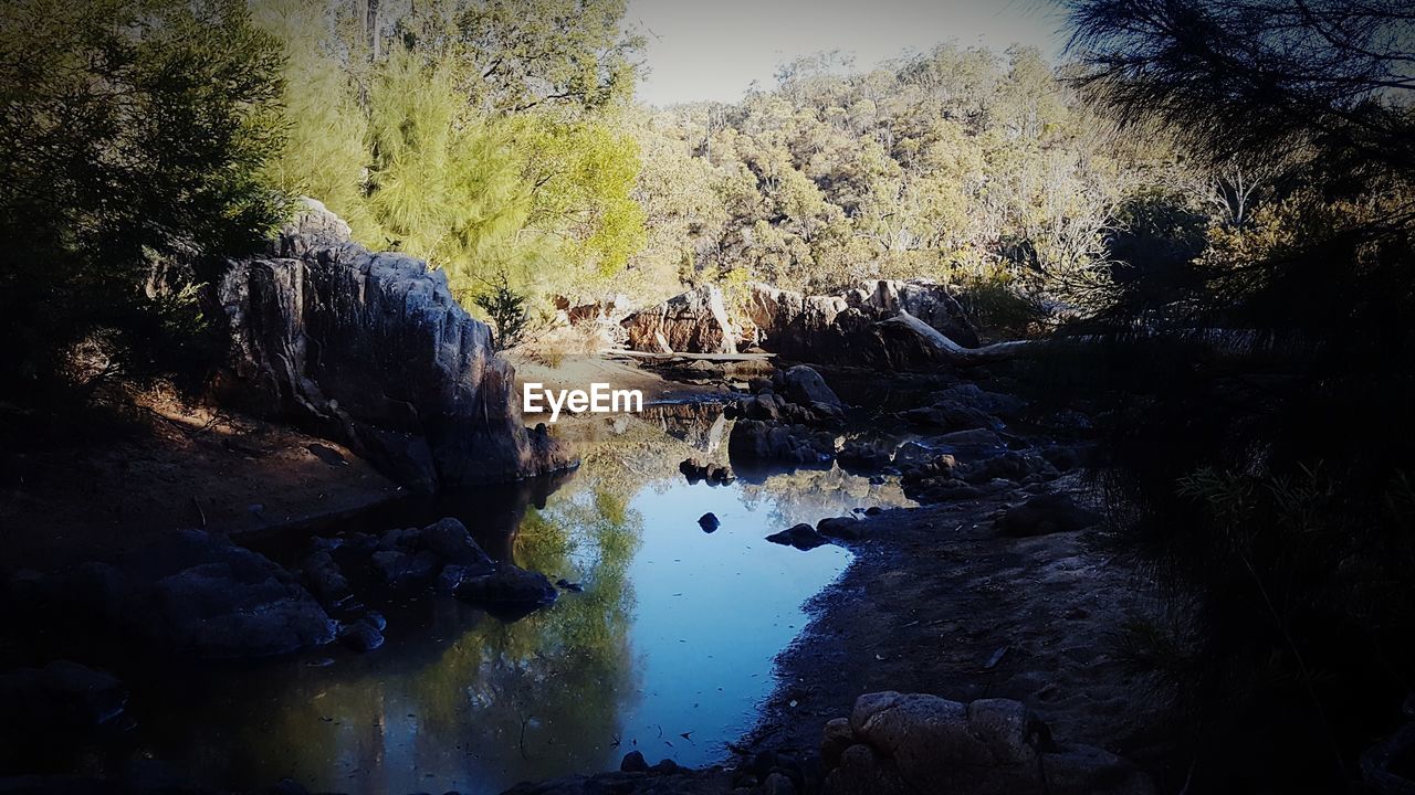 ROCK FORMATION AMIDST TREES