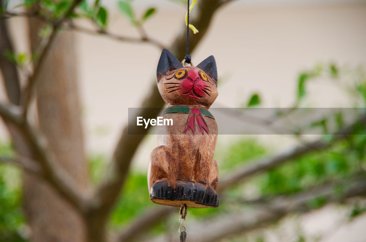 Close-up of animal figurine hanging on tree