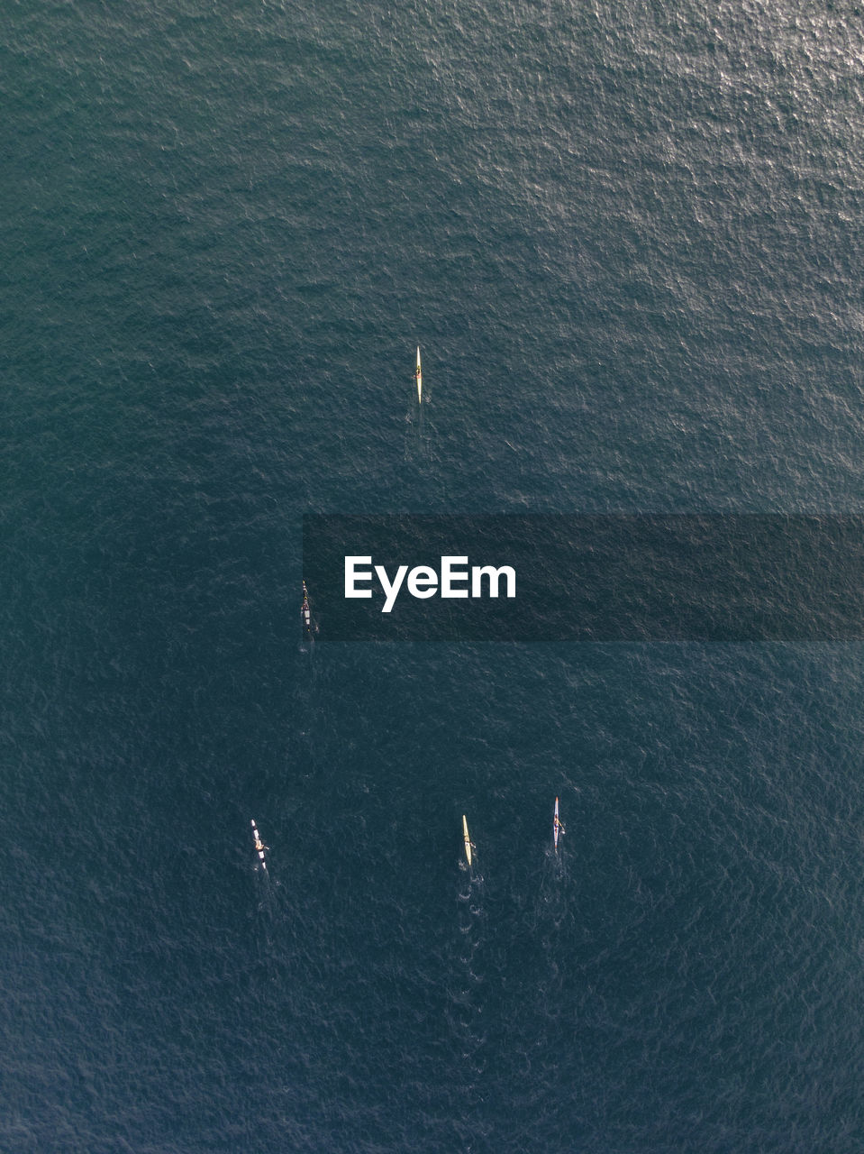 High angle view of rowing boats in sea