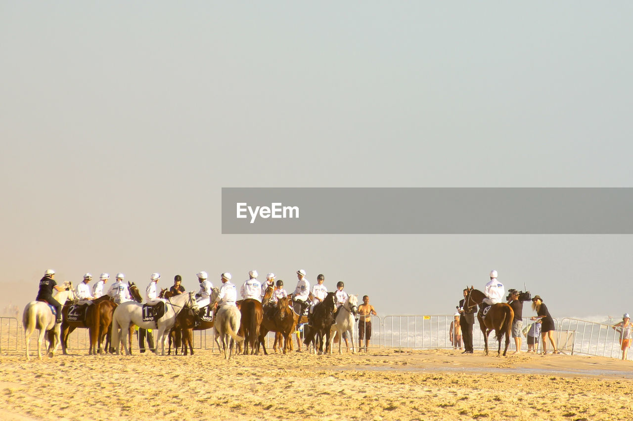 PANORAMIC VIEW OF HORSES ON LANDSCAPE AGAINST SKY