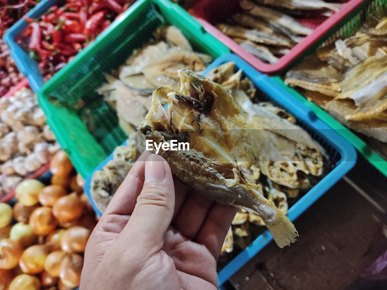 Close-up of person holding salted fish