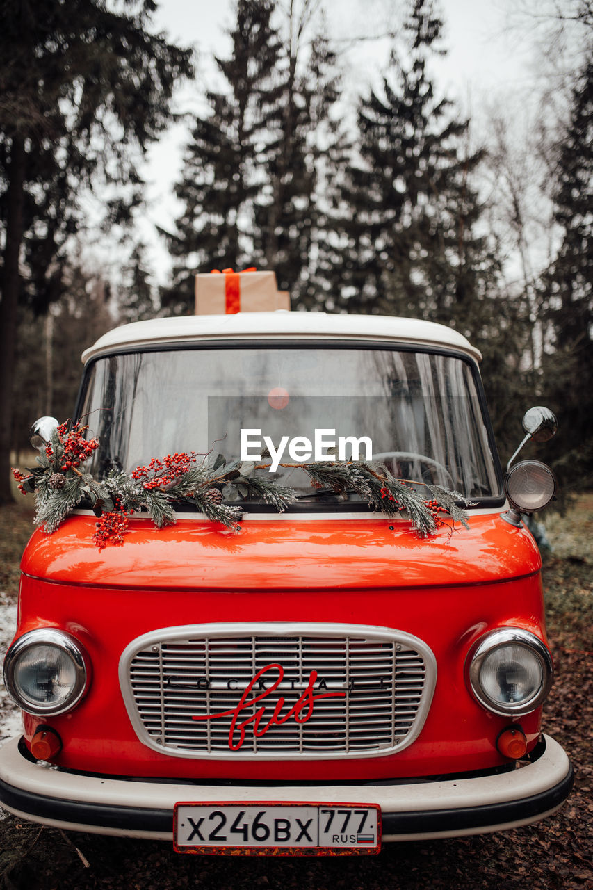 car, vehicle, red, mode of transportation, land vehicle, tree, transportation, plant, motor vehicle, city car, family car, antique car, retro styled, nature, automobile, headlight, day, subcompact car, front view, automotive exterior