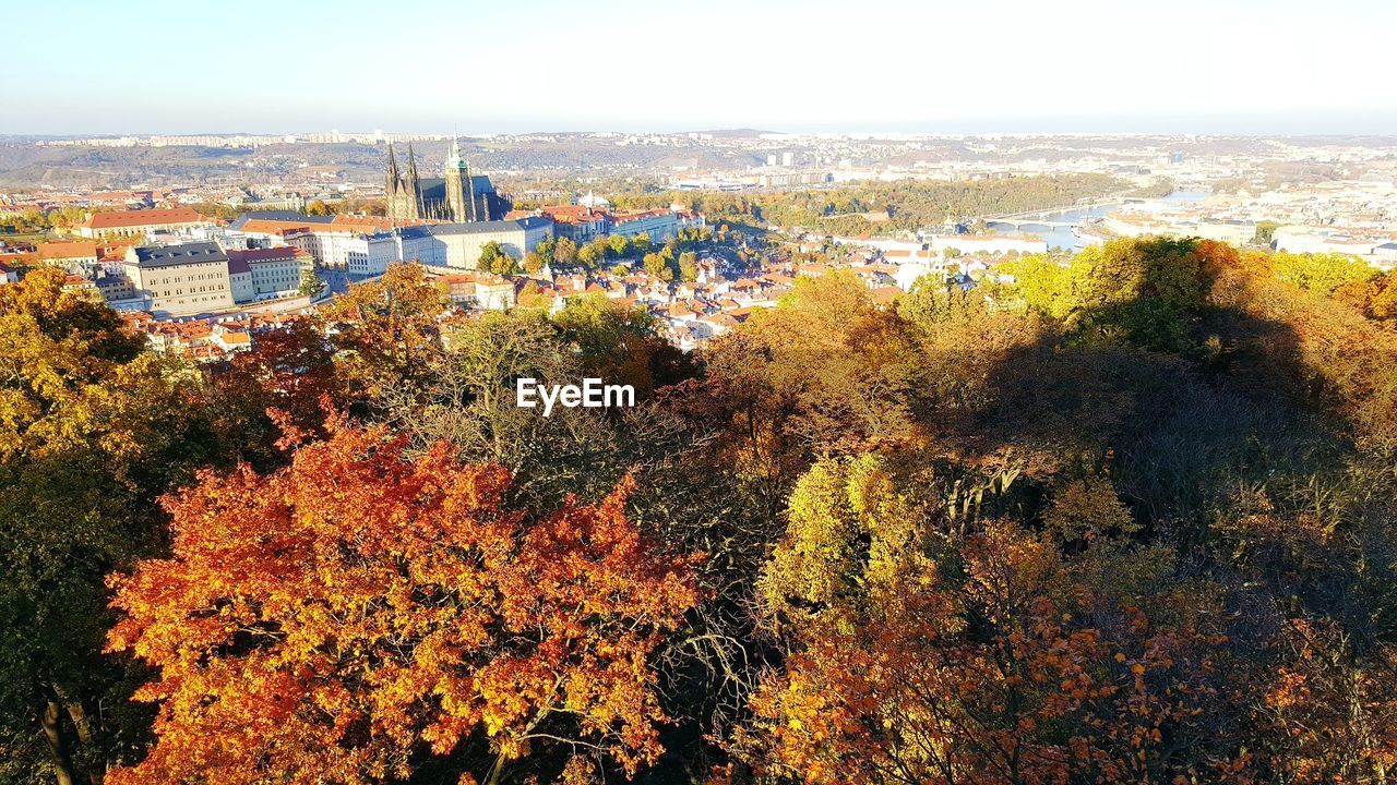 Trees in city against sky during autumn