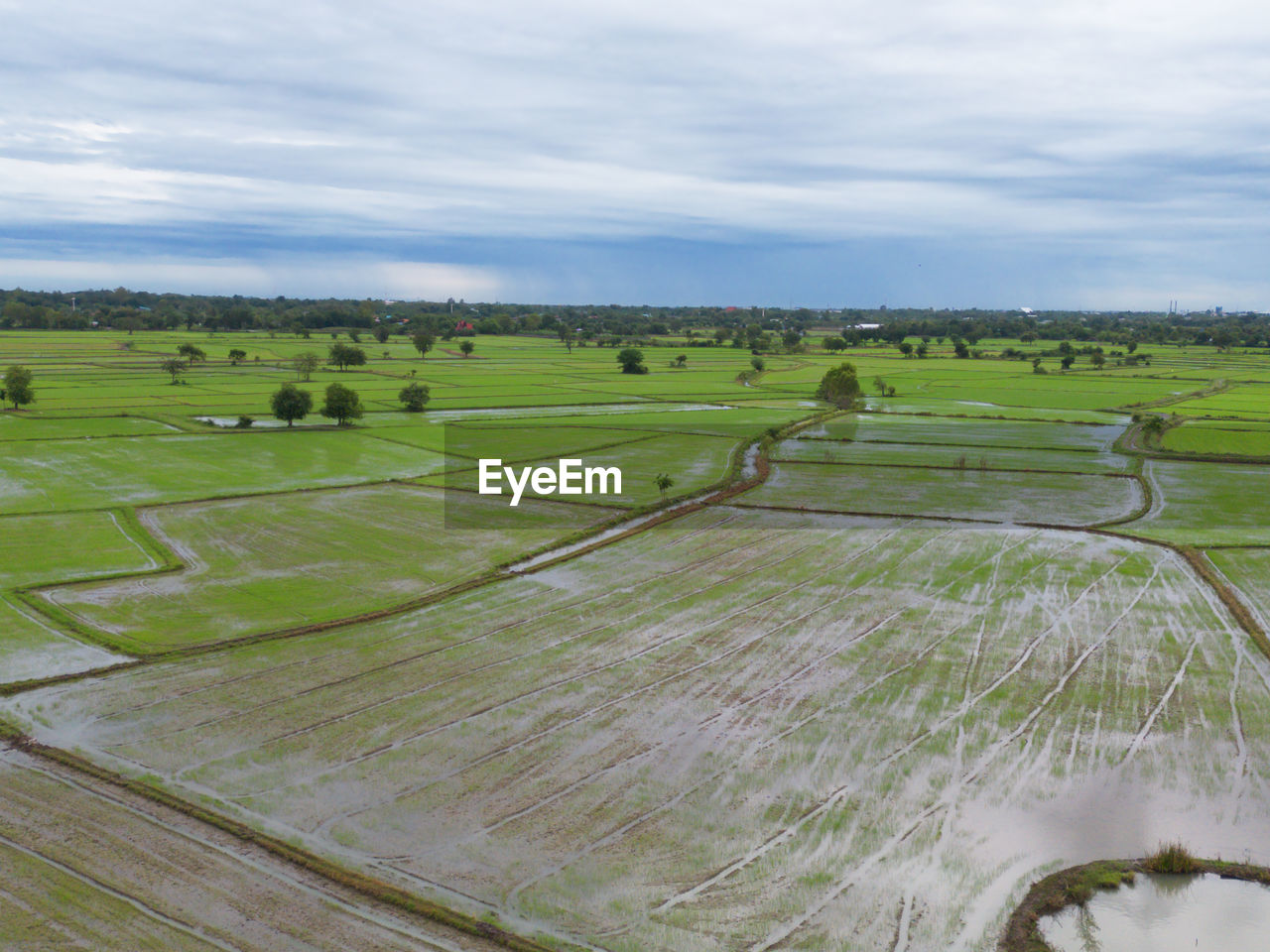 scenic view of agricultural field against cloudy sky