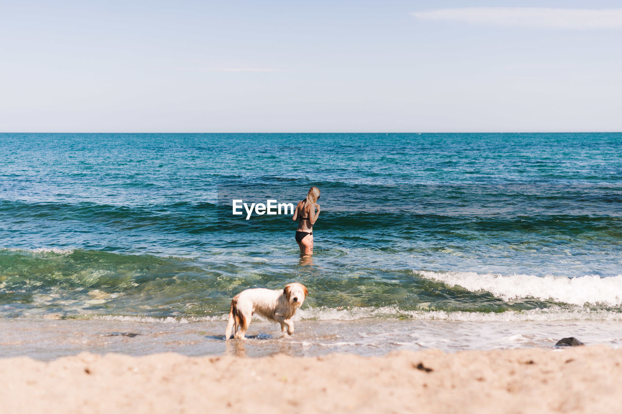 Woman in bikini with dog on shore at beach