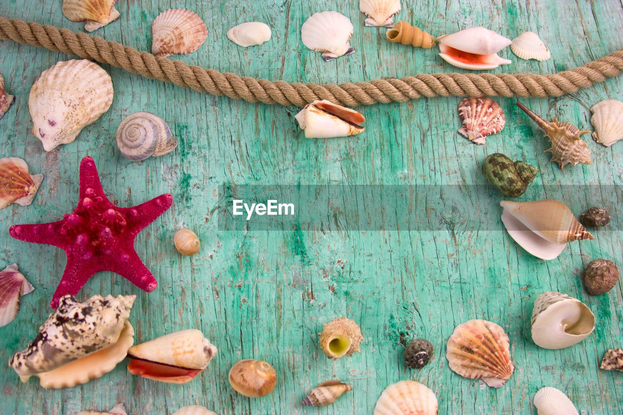 HIGH ANGLE VIEW OF COOKIES IN WOODEN TABLE