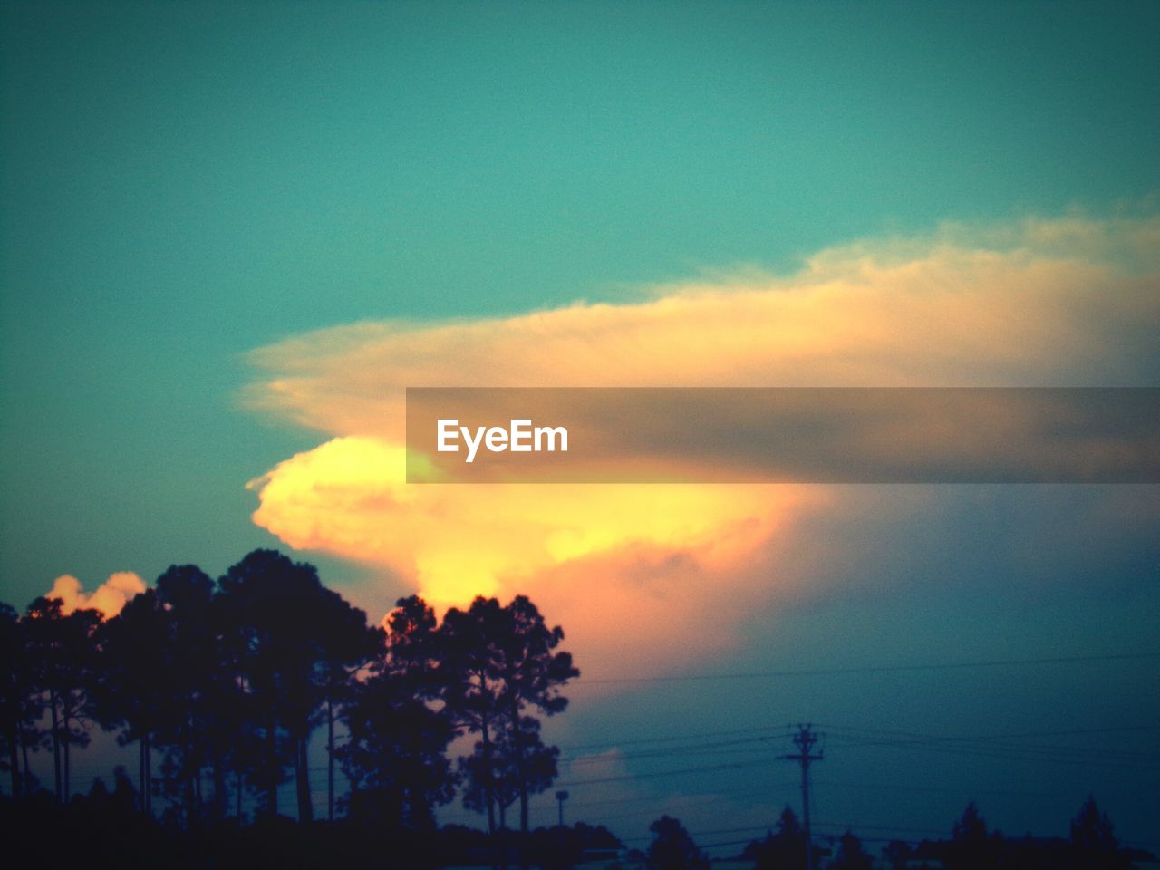 SCENIC VIEW OF SILHOUETTE TREES AGAINST SKY