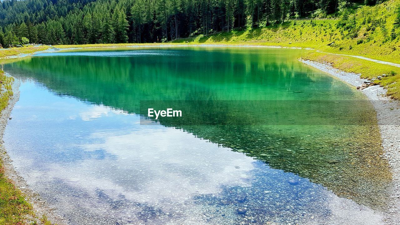 REFLECTION OF TREES IN LAKE